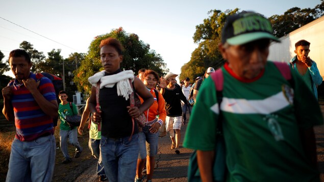 Une longue colonne de migrants marchent le long d'une autoroute. Une longue colonne de migrants marchent le long d'une autoroute.