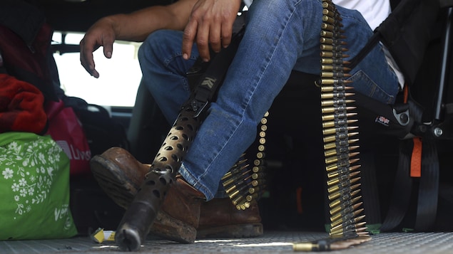 Au Mexique, des producteurs d’avocats se défendent des cartels