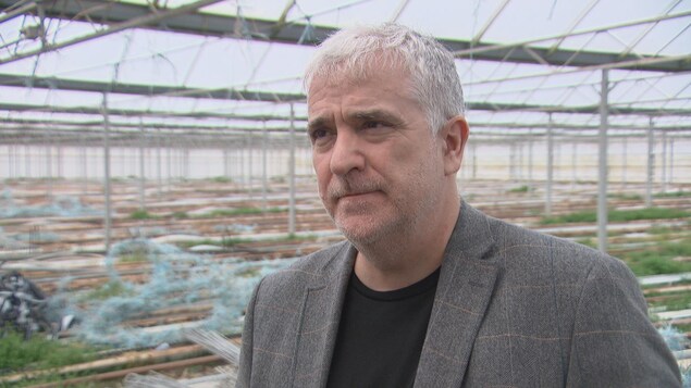 Un homme en entrevue dans une serre en contruction. Un homme en entrevue dans une serre en contruction.