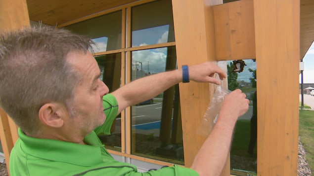 Michel Maheu utilise un sac de plastique pour sceller un nid de guêpes.