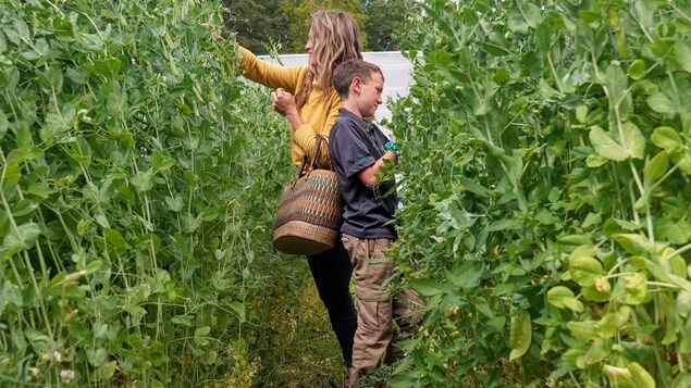 Devenir autosuffisant, le bonheur au bout d’un long chemin