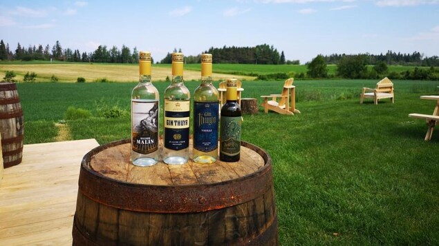 La distillerie Fils du Roy prépare son avenir agrotouristique