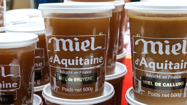 Du miel d’Aquitaine des Landes de Gascogne. Du miel d’Aquitaine des Landes de Gascogne.