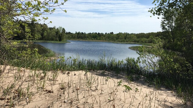 Un lac entourés d'arbres avec une petite plage à proximité. Un lac entourés d'arbres avec une petite plage à proximité.