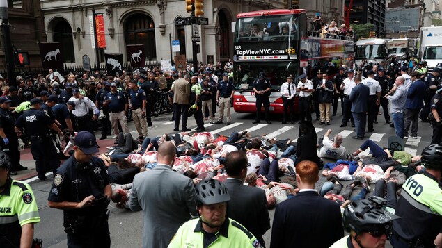 Des militants écologistes par terre à Manhattan à New York