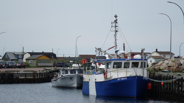 Des bateaux de pêche amarrés à un quai de Miquelon.