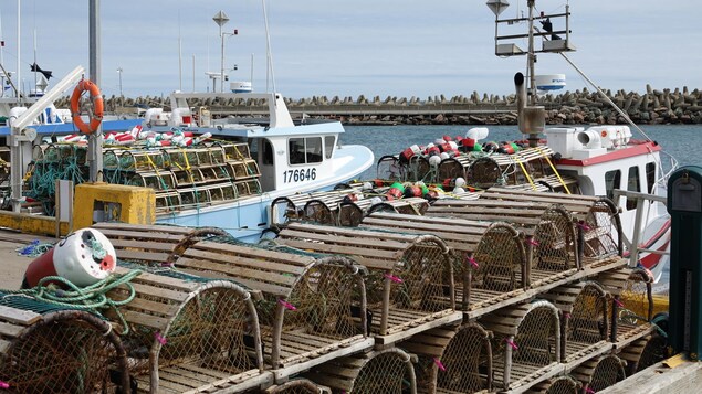 Un début de saison historique pour la pêche au homard