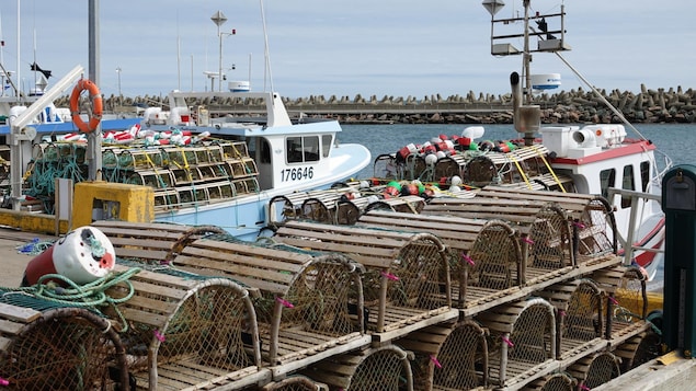 Un début de saison historique pour la pêche au homard