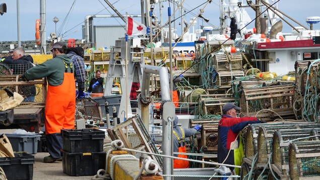 Entente entre les homardiers madelinots et LA Renaissance des Îles