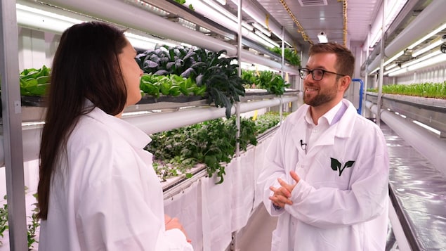 Deux personnes discutent dans une ferme hydroponique.
