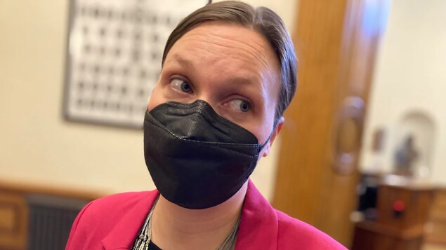 Les virus respiratoires perturbent l’Assemblée législative du Nouveau-Brunswick