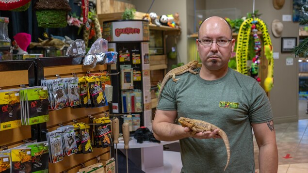 Mathieu Naud avec deux reptiles sur lui dans son local.