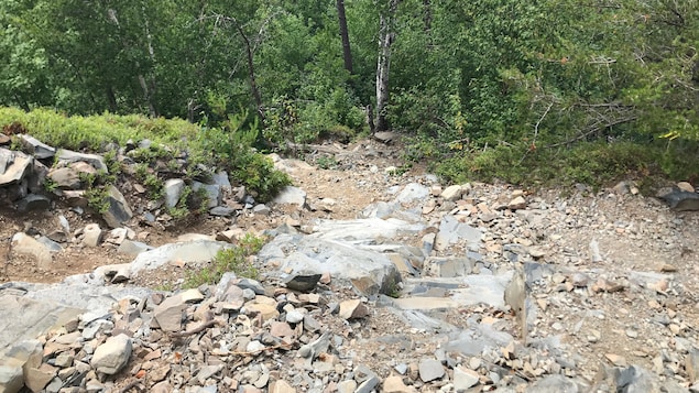 Toujours pas d’entretien officiel aux sentiers du mont Chaudron