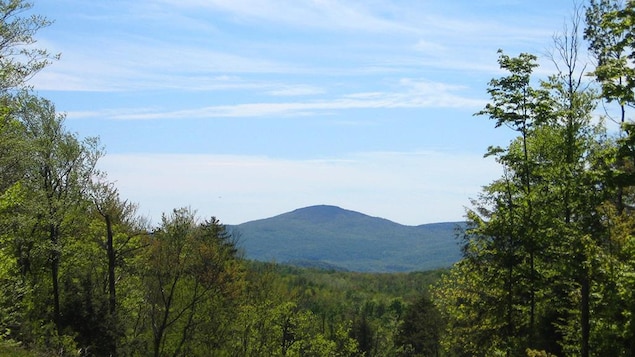 Vue sur le mont Foster.