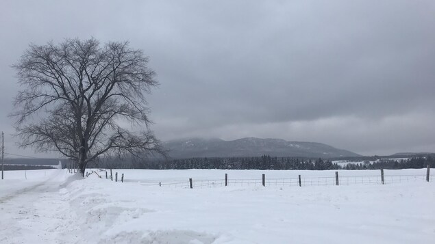La MRC des Sources veut mettre un frein à l’exploration minière
