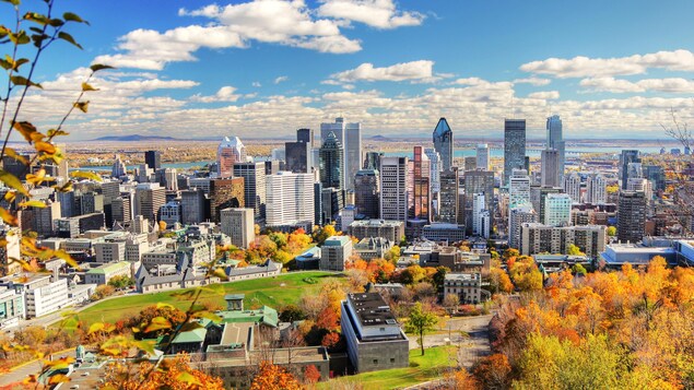 Plan panoramique du centre-ville de Montréal.