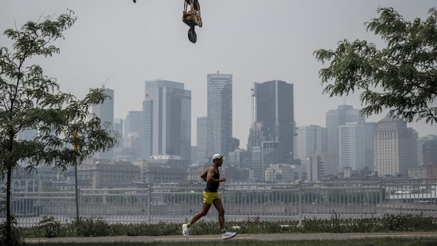 Indice de la qualité de l’air : une réforme jugée « pertinente » et « nécessaire »