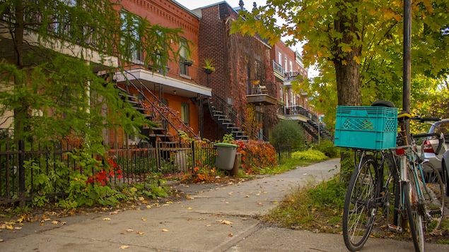 Des immeubles résidentiels à Montréal.