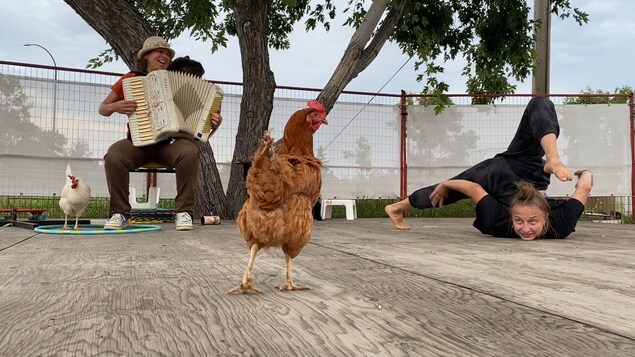 Jardins secrets et poules savantes, une célébration de l’éphémère