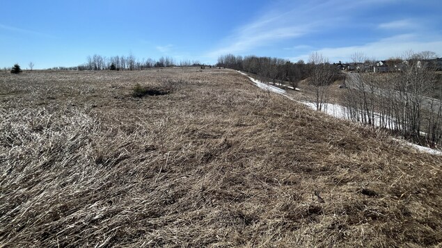 Projet immobilier de 350 logements à La Baie pour répondre à la pénurie