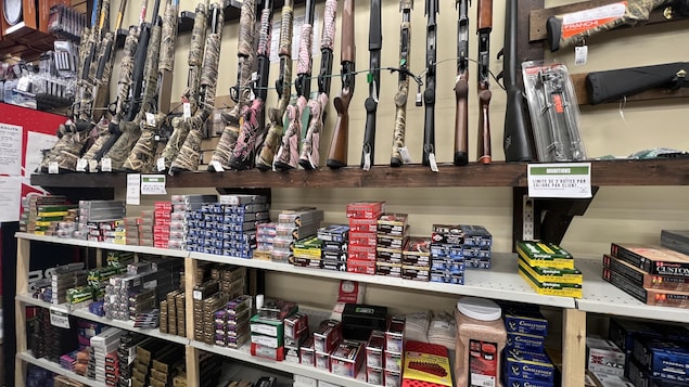 Dans un magasin, des munitions et des armes sont étalés dans des présentoirs.