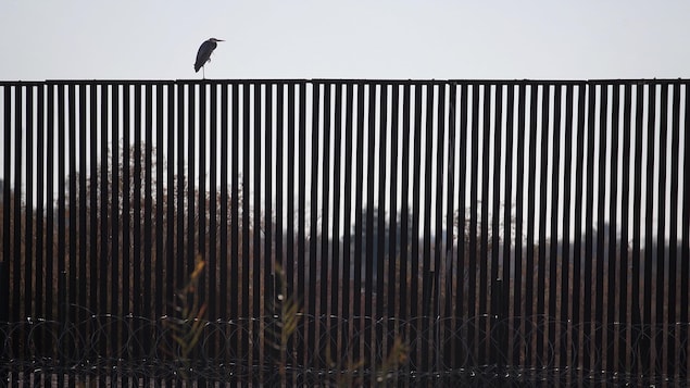 Un mur construit en acier est visible à la frontière entre le Mexique et les États-Unis près de Calexico, en Californie.
