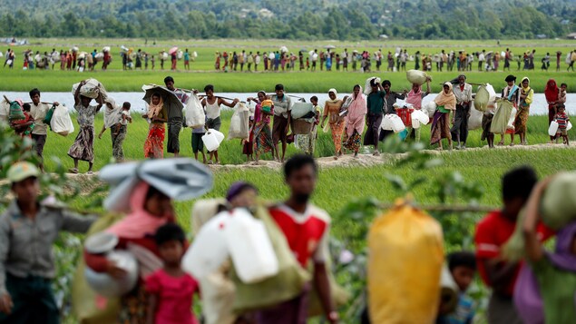 Des réfugiés rohingyas forment une longue file vers un camp de fortune établi au Bangladesh. Des réfugiés rohingyas forment une longue file vers un camp de fortune établi au Bangladesh.