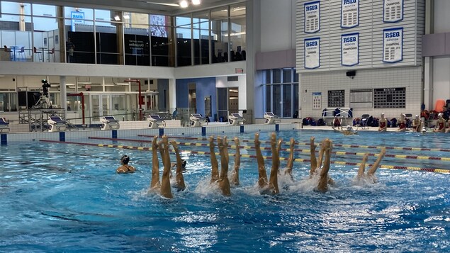 Des nageuses sortent les jambes de l'eau en même temps dans un piscine.