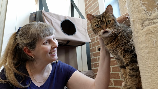 Nathalie Roy, la pharmacienne qui a tout quitté pour s’occuper des chats abandonnés