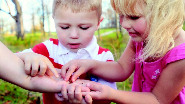 Deux enfants découvrent la nature en observant une coccinelle.