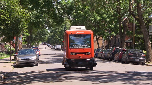 La navette électrique relie la station de métro Viau au marché Maisonneuve.