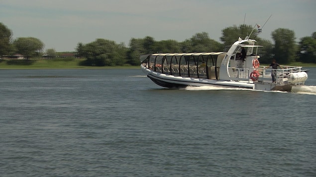 Les navettes fluviales attirent près de 40 000 personnes à leur retour sur le fleuve