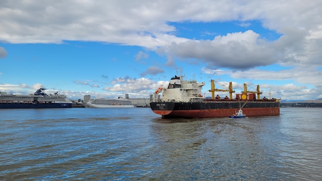 navire cargo transport fleuve saint-laurent québec