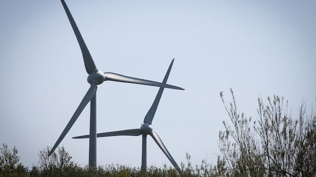 Des éoliennes.