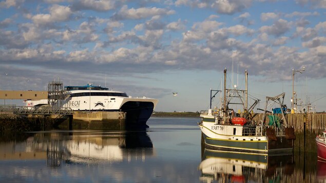 Les autorités américaines n'ont toujours pas approuvé le service entre Yarmouth et Bar Harbor, au Maine.