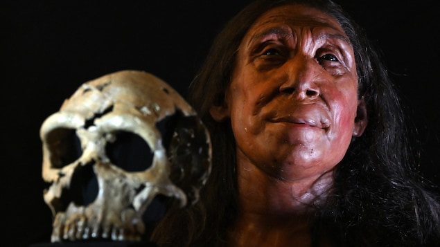 Reconstitution de la tête d'une femme néandertalienne de 75 000 ans.
