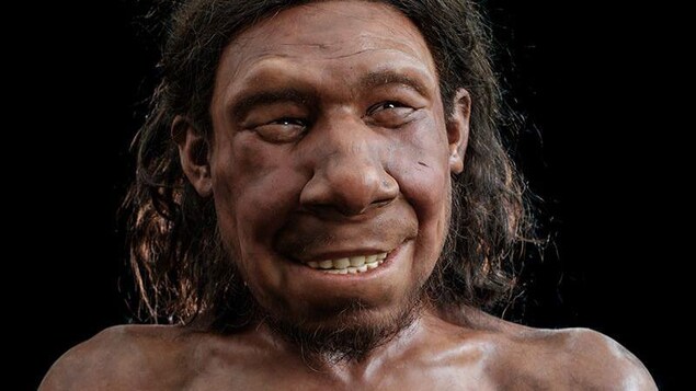 Photo of Is Your Nose Shape Neanderthal?