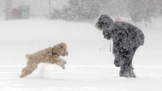 Une personne emmitouflée dans un manteau d'hiver avec un capuchon sur la tête joue avec son chien dans la neige alors que les flocons tombent autour d'eux. Une personne emmitouflée dans un manteau d'hiver avec un capuchon sur la tête joue avec son chien dans la neige alors que les flocons tombent autour d'eux.