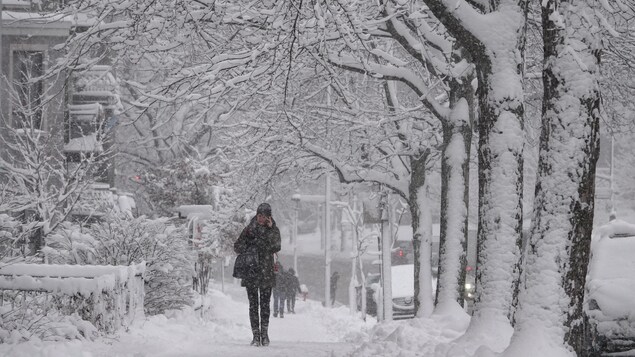Une femme marche sur le trottoir, entourée d'arbres enneigés. Une femme marche sur le trottoir, entourée d'arbres enneigés.