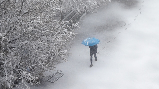 Une personne marche dans un parc enneigé et tenant un parapluie.