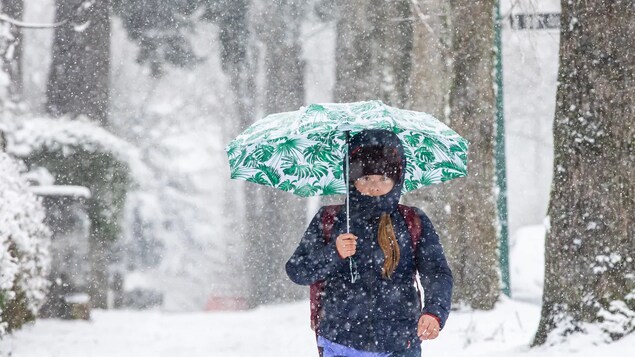 Une femme avec un parapluie marche sur un trottoir entouré d'arbres pendant qu'il neige.