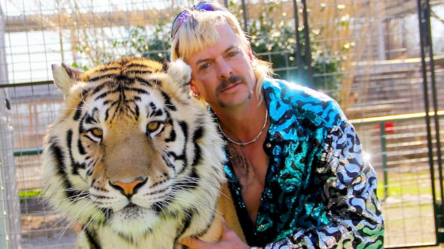 Un homme à la coupe Longueuil blonde enlace un tigre.