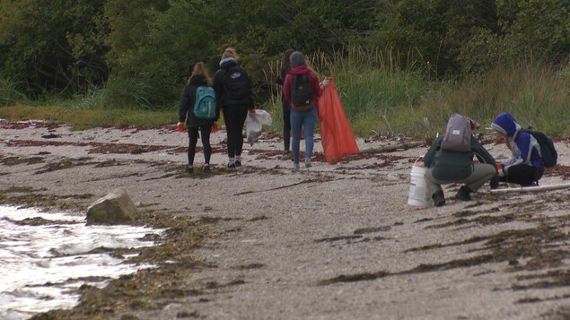 Des étudiants ont des sacs et des chaudières pour mettre les déchets ramassés sur la plage. Des étudiants ont des sacs et des chaudières pour mettre les déchets ramassés sur la plage.