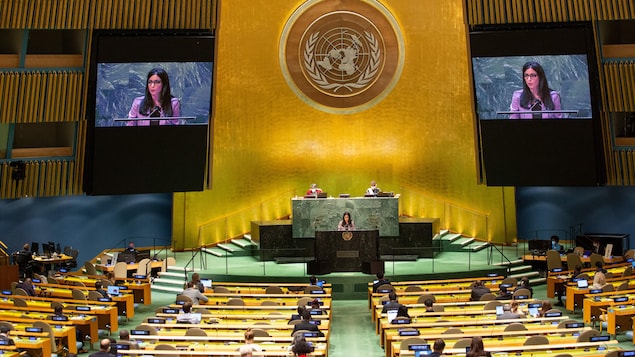 Myanmar et Afghanistan sans voix lors d’une Assemblée générale de l’ONU particulière