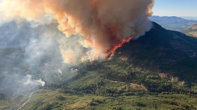 Ottawa renforce sa flotte aérienne de lutte contre les feux de forêt