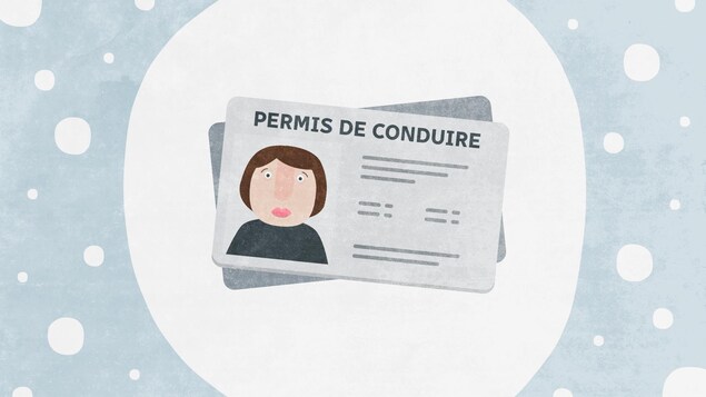 Tout pour ne pas conduire Tout pour ne pas conduire