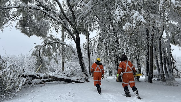 Hydro-Québec a rebranché plus de 80 % des clients touchés par les pannes de courant