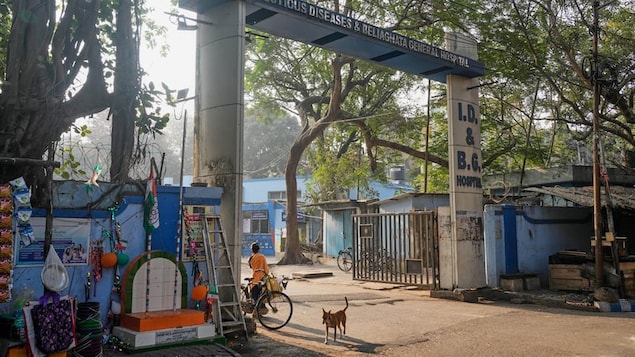 インドではニパウイルス感染者2名が報告されている。感染症とは何か、そしてどのように広がるのか