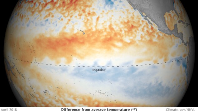 Une photo satellite montre la température des océans en rouge ou en bleu selon la normale habituellement observée.