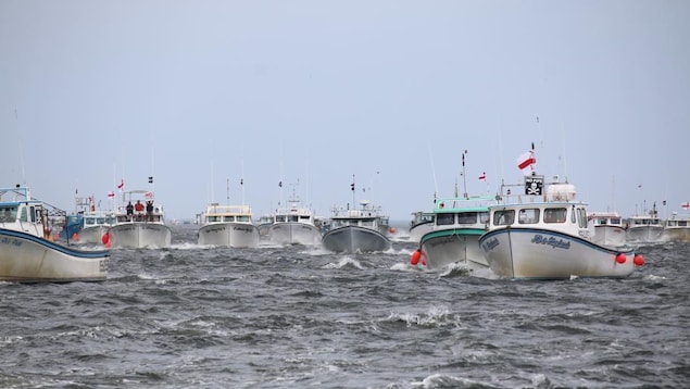 Des dizaines de bateaux de pêche au homard en mouvement sur la mer.
